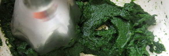 молочно-мятная пасха цветок