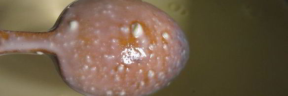 молочно-мятная пасха цветок