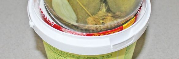 пасха шоколадная без яиц