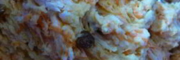 пасхальная пасха