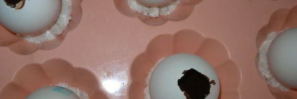 пасхальные брауни в яичной скорлупе