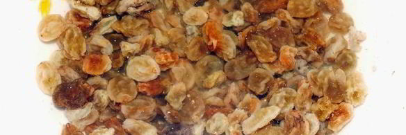 пасхальные булочки