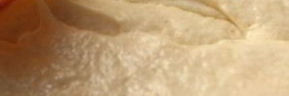 польский кулич