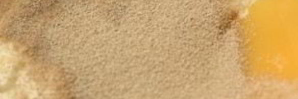 польский кулич