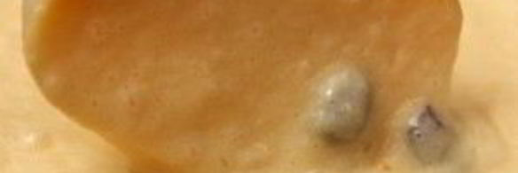 польский кулич