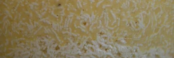 цитрусовая пасха