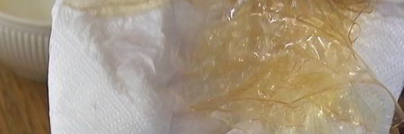 сливовое желе