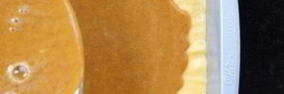 тыква в стиле десерта