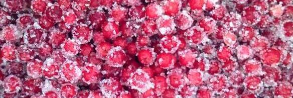 ванильная панна котта с клюквенным соусом