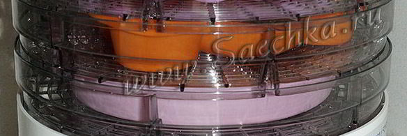 яблочная пастила