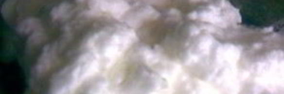 яичный пудинг