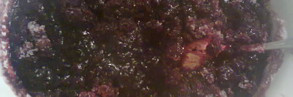 живое желе из черной смородины