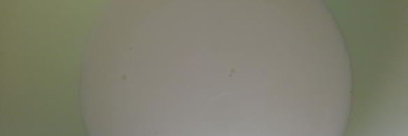 блинная лапша с грибами