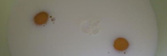 блинная лапша с грибами