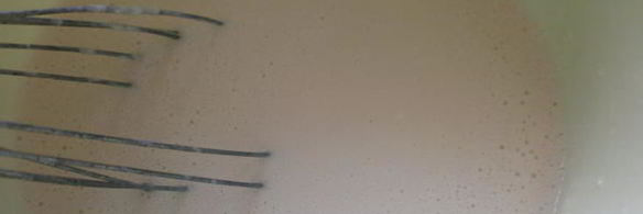 блинная лапша с грибами