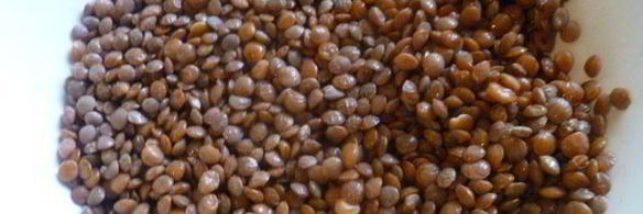 тушеная чечевица с тыквой и мясом