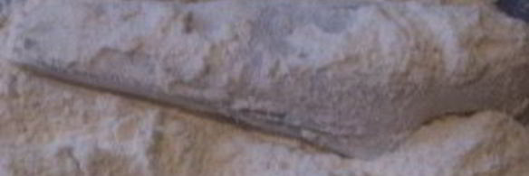 вкусная жареная рыба