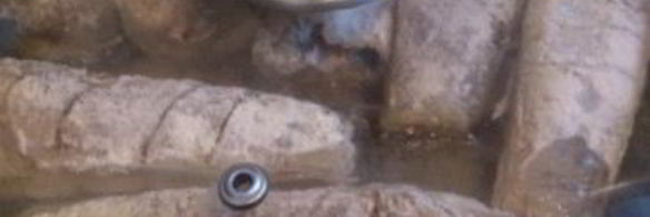 вкусная жареная рыба