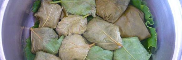 долма из свежих виноградных листьев