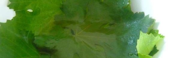 долма из свежих виноградных листьев