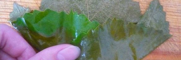 долма из свежих виноградных листьев