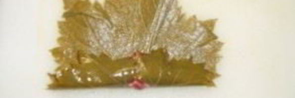 долма в мультиварке панасоник