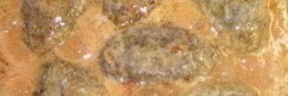 голубцы ленивые в сметанном соусе