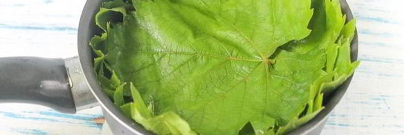 голубцы по-молдавски