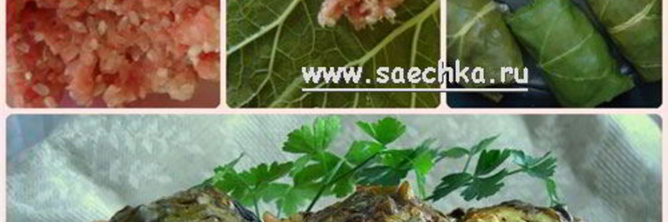 Голубцы в листьях ревеня