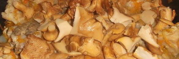 ленивые голубцы с лисичками и гузками индейки