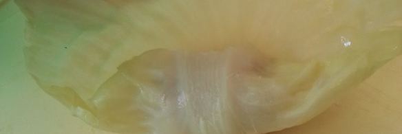 обычные голубцы