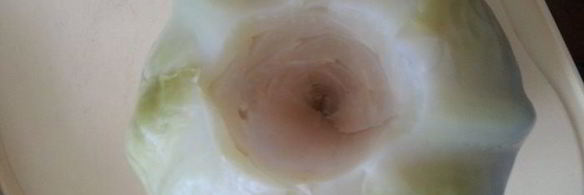 обычные голубцы