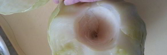 обычные голубцы