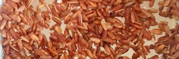 обычные голубцы