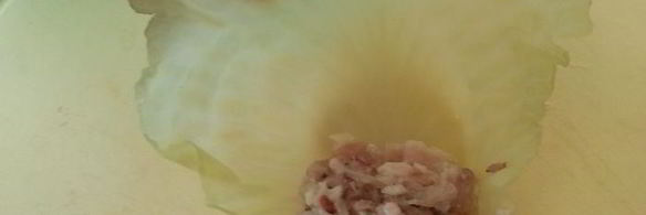 обычные голубцы