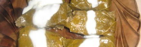 турецкая долма с хайдари