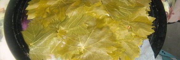 турецкая долма с хайдари