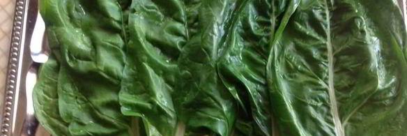 запеченные голубцы из мангольда