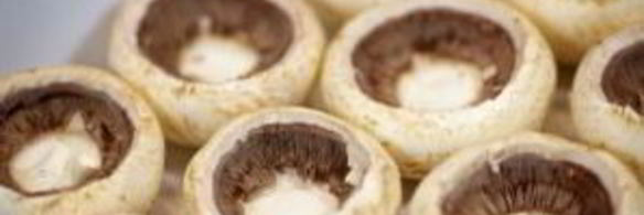 грибы фаршированные