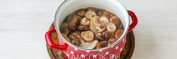 грибы по-корейски