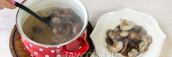 грибы по-корейски