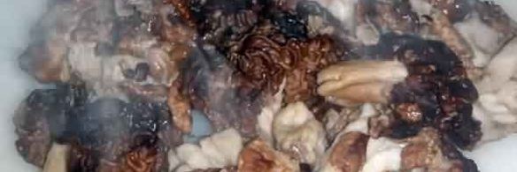 грибы строчки