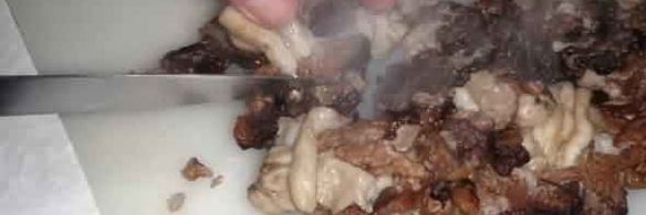 грибы строчки