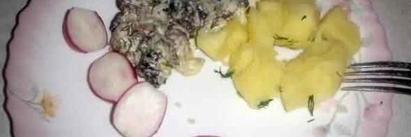 грибы строчки