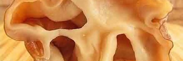 грибы строчки