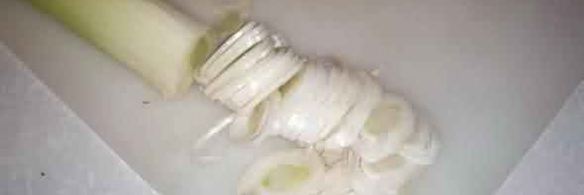 грибы строчки