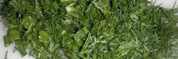 грибы строчки