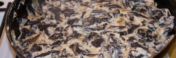 грибы в сметане в духовке запеченные с сыром