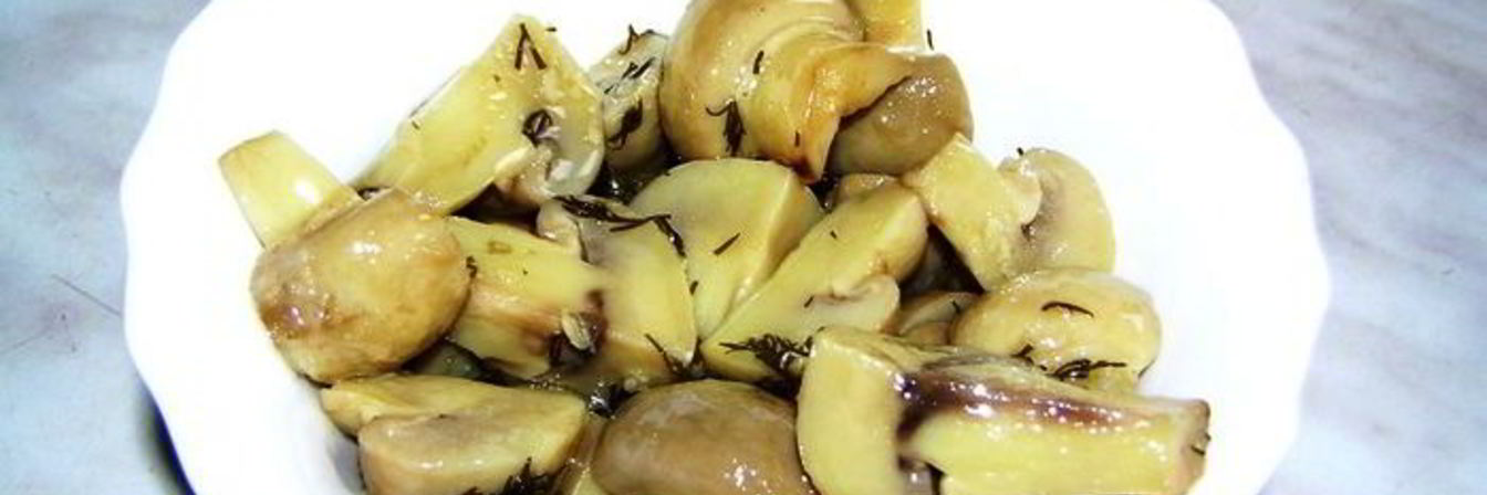 Грибы закусочные