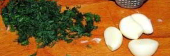 грибы закусочные